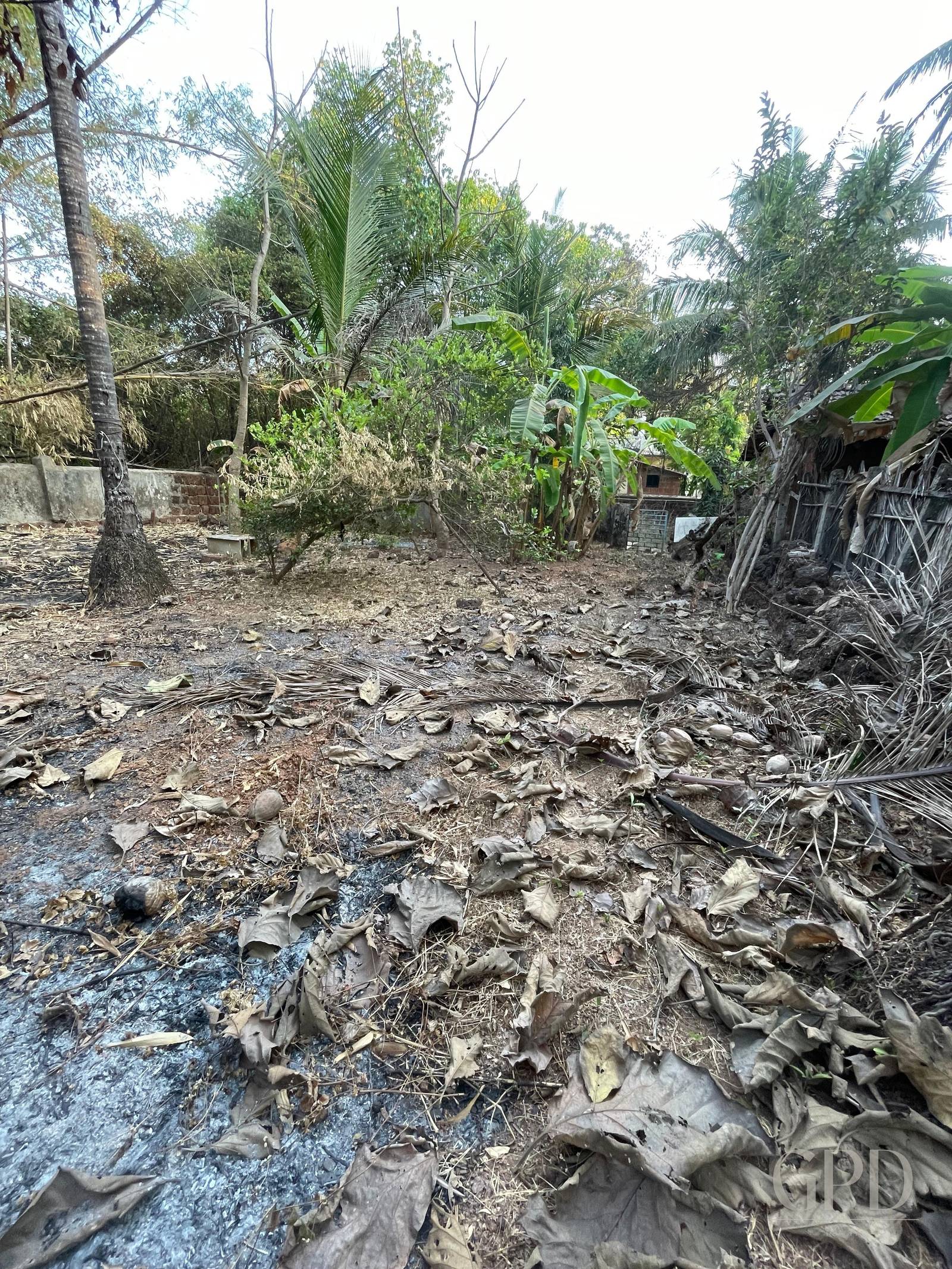 Anjuna Plot 998 sqmtrs photo 4