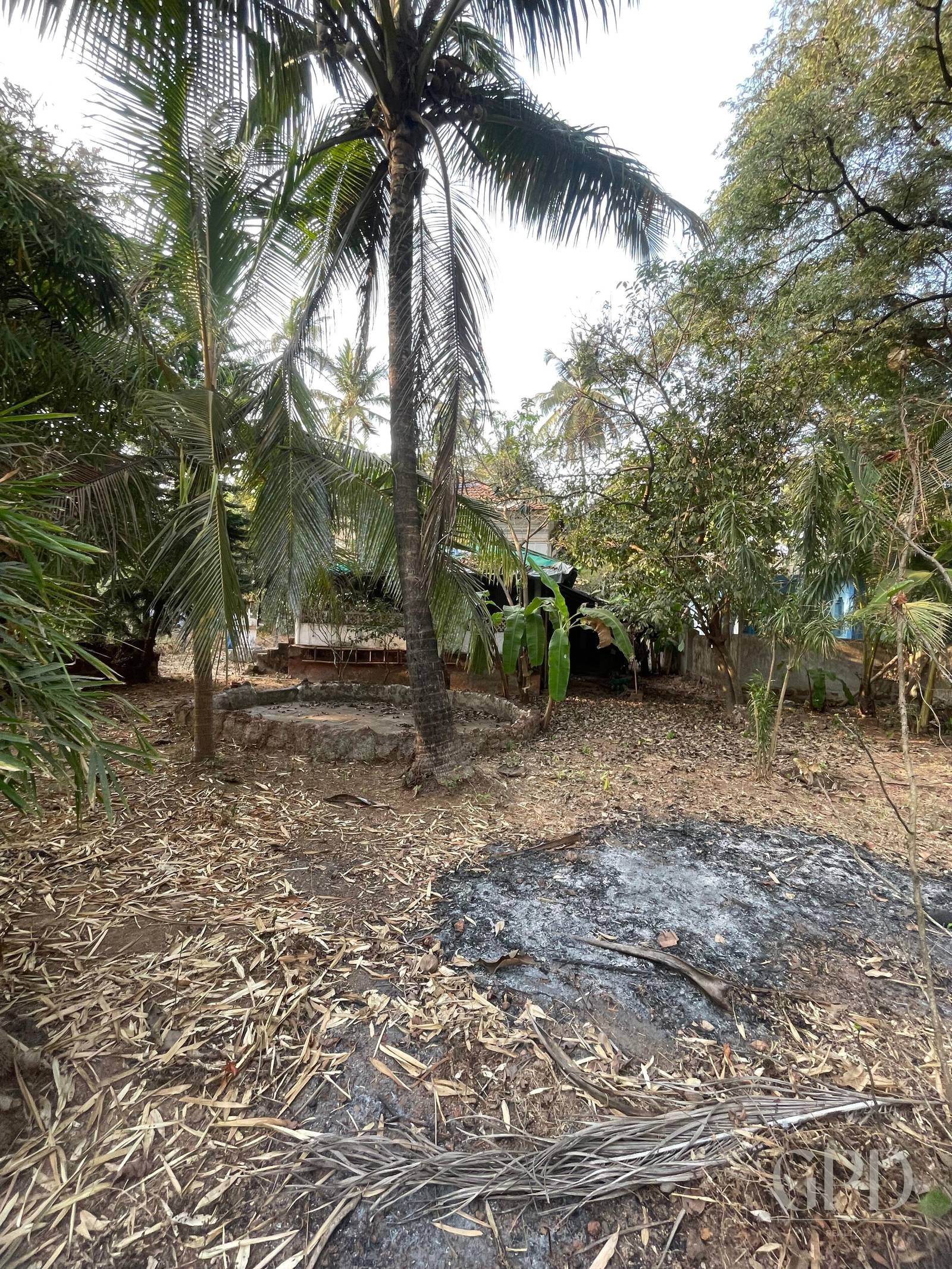 Anjuna Plot 998 sqmtrs photo 5
