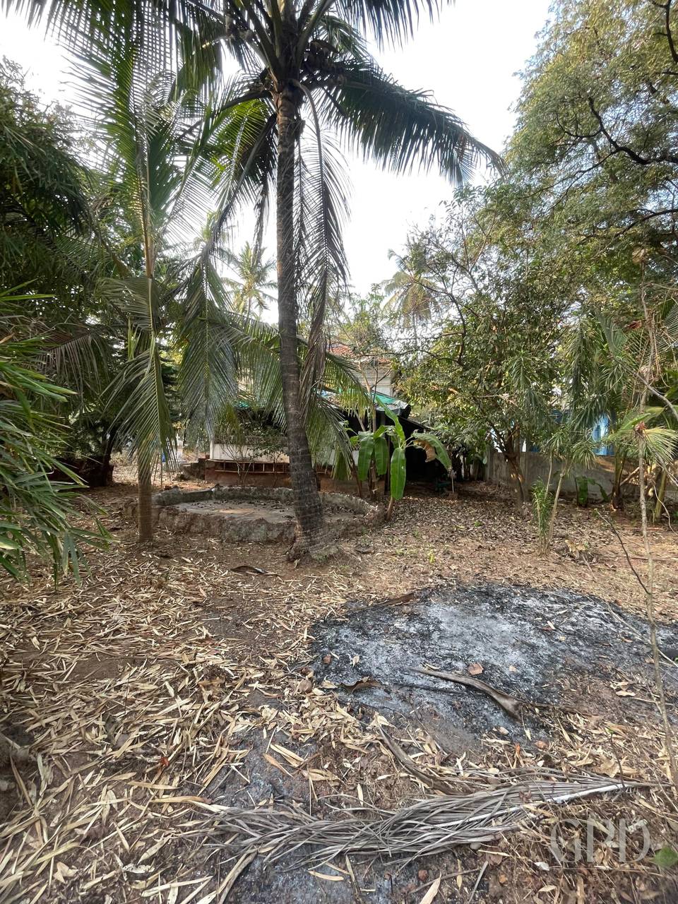 Anjuna Plot 998 sqmtrs photo 6