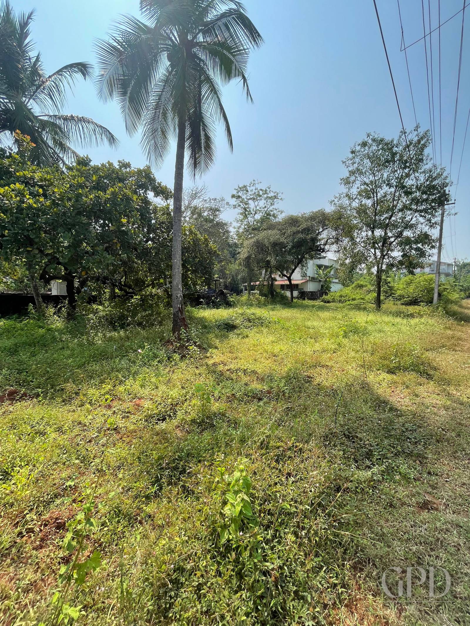 Siolim Plot 300 Sqmtrs photo 2