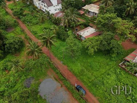 Siolim Plot 300 Sqmtrs