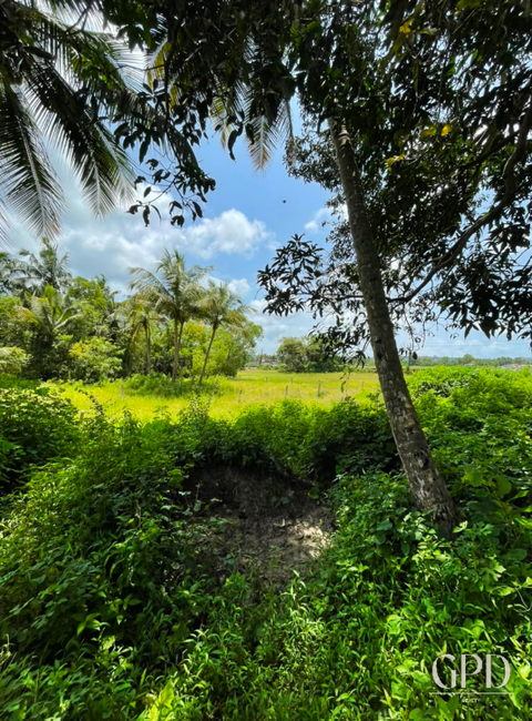 Guirim Plot 650 Sqmtrs