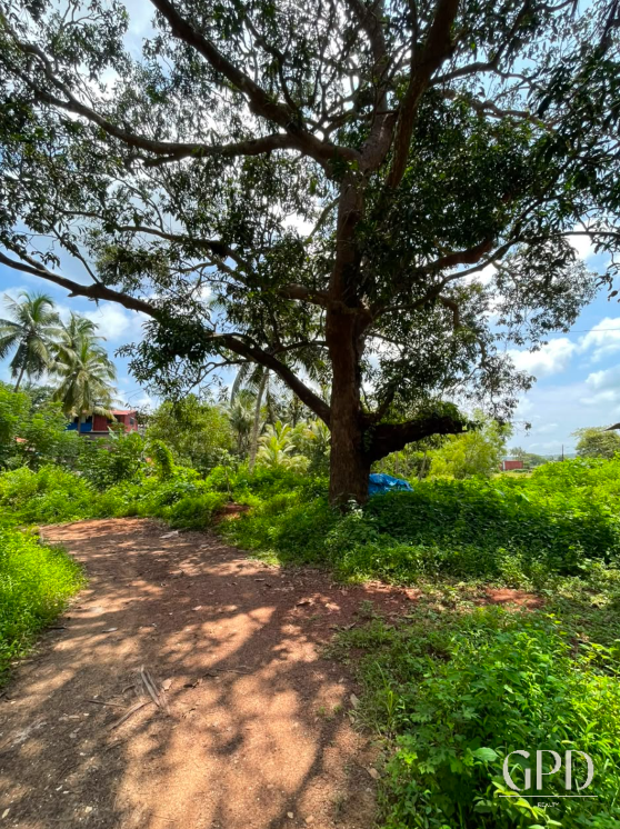 Guirim Plot 650 Sqmtrs photo 3