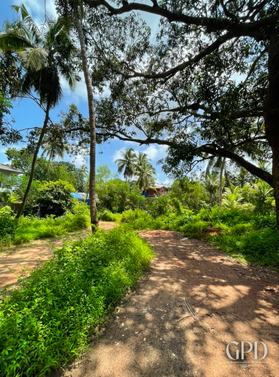 Guirim Plot 650 Sqmtrs photo 8