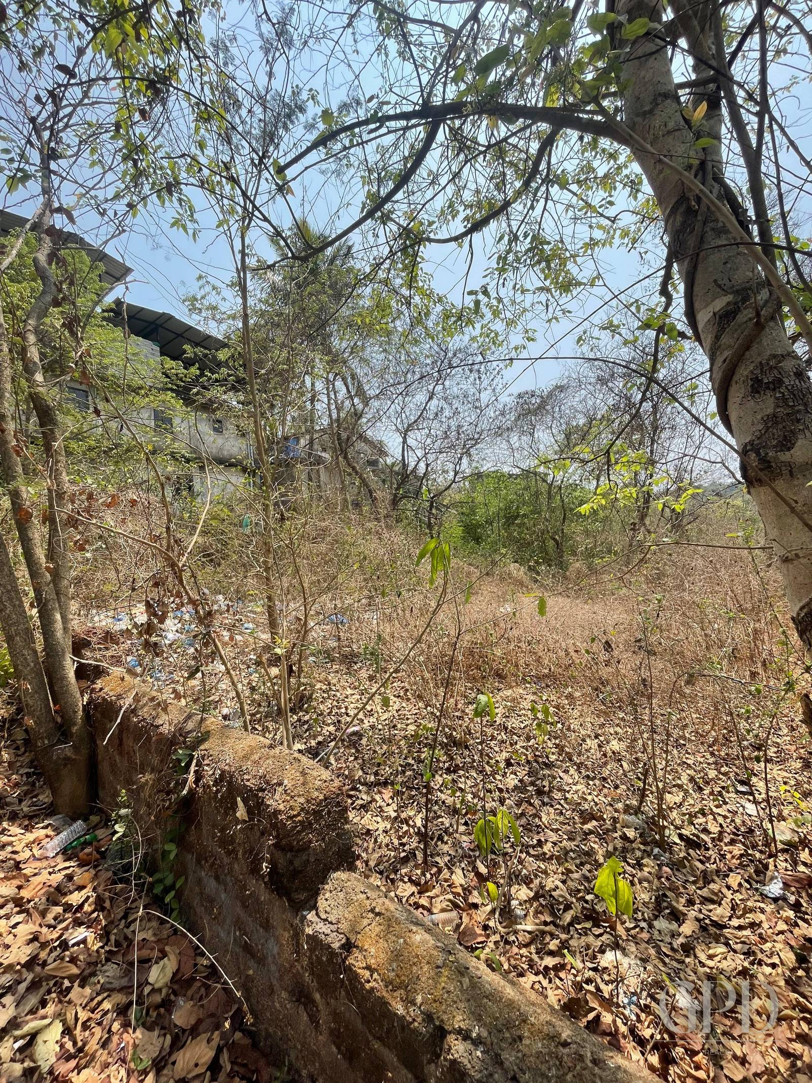 Nachinola Plot 525 sqmtrs  photo 1