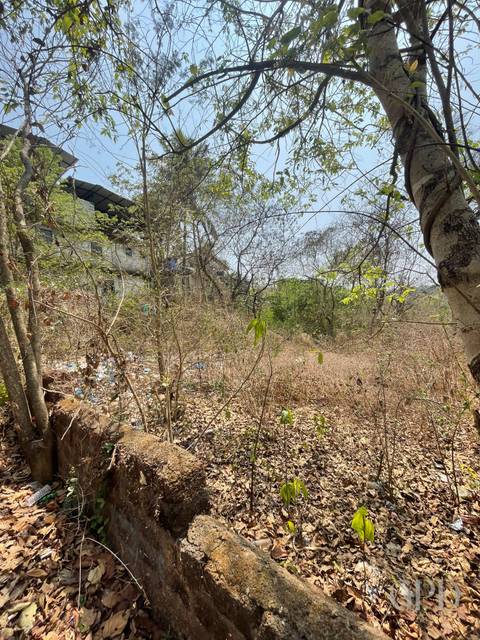 Nachinola Plot 525 sqmtrs 