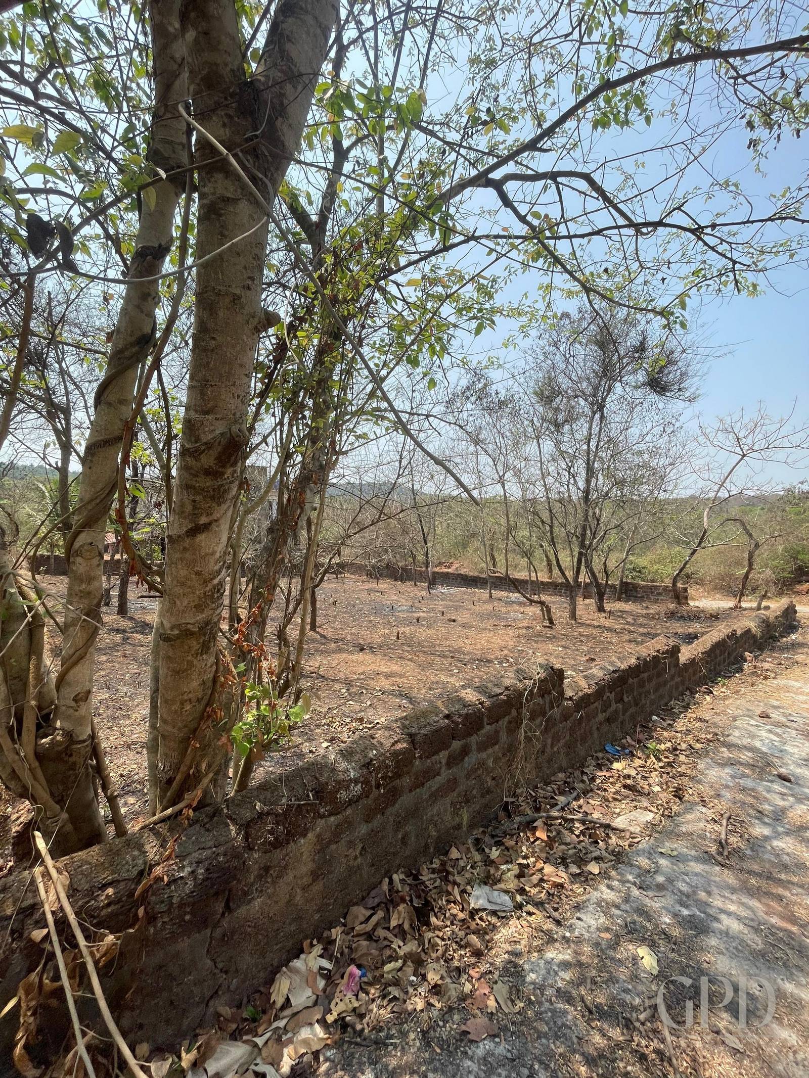 Nachinola Plot 525 sqmtrs  photo 3