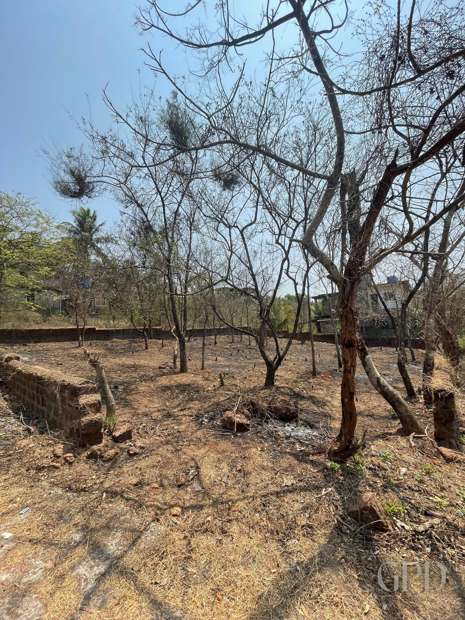 Nachinola Plot 525 sqmtrs  photo 4