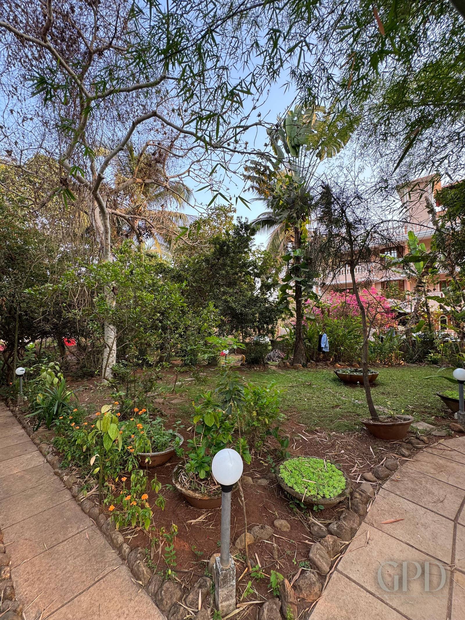 Socorro Plot with Old Goan House 1710 SQMT photo 15