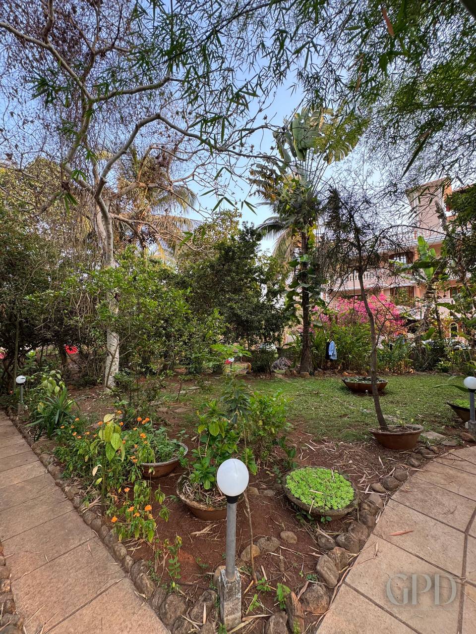 Socorro Plot with Old Goan House 1710 SQMT photo 15
