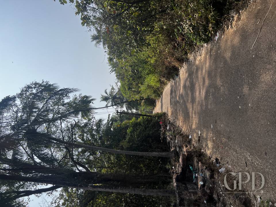 Thivim Plot 2025 Sqmtrs photo 3