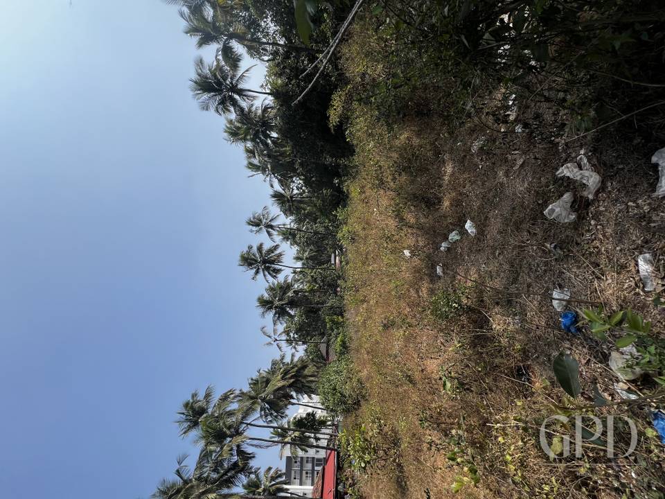 Thivim Plot 2025 Sqmtrs photo 4