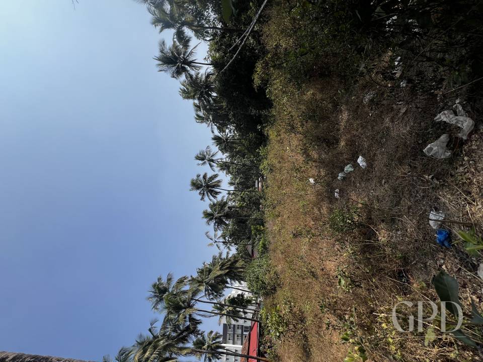 Thivim Plot 2025 Sqmtrs photo 5