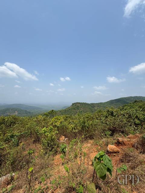 Dodamarg Plot 108.2 Acres 