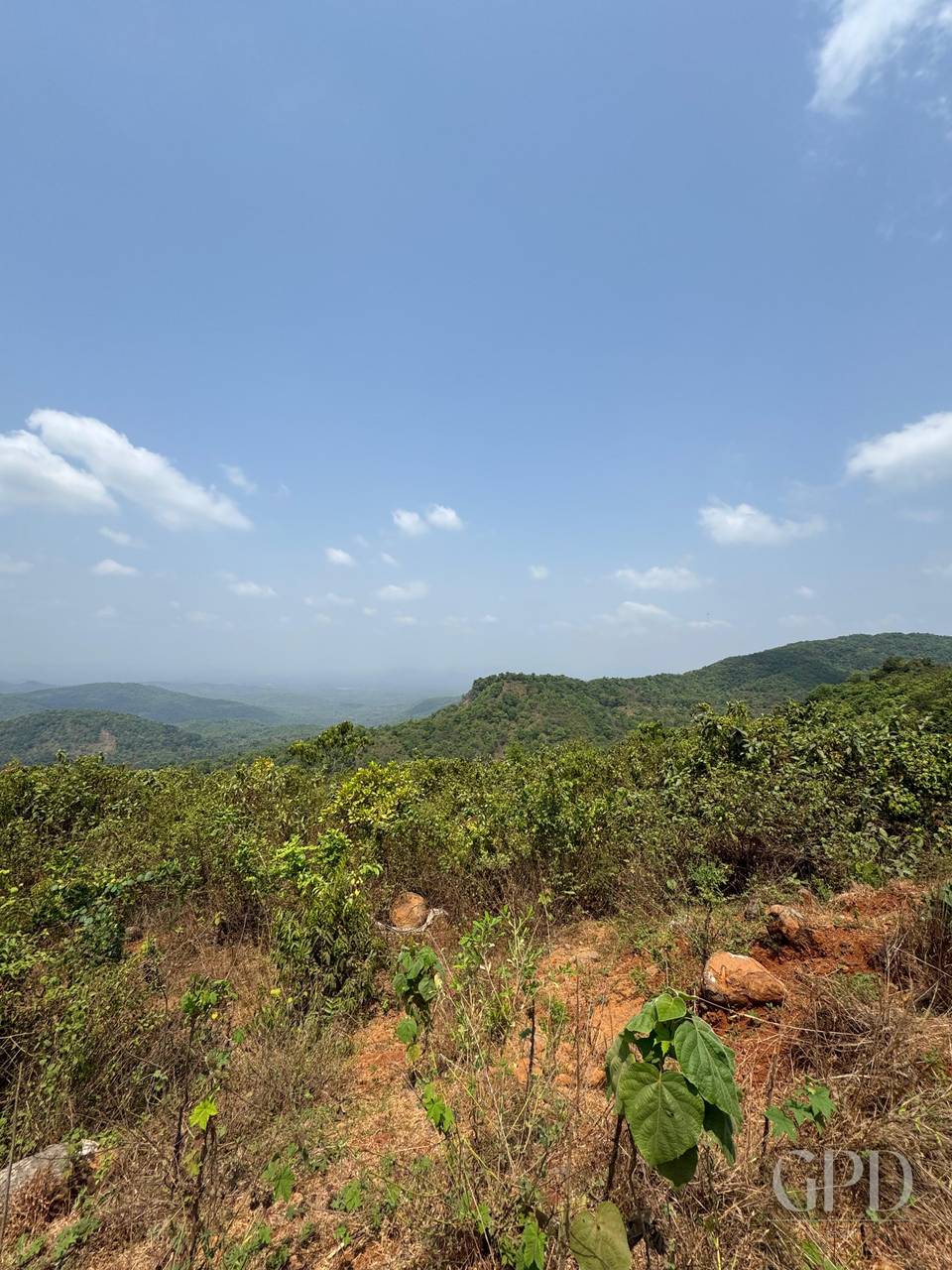 Dodamarg Plot 108.2 Acres 