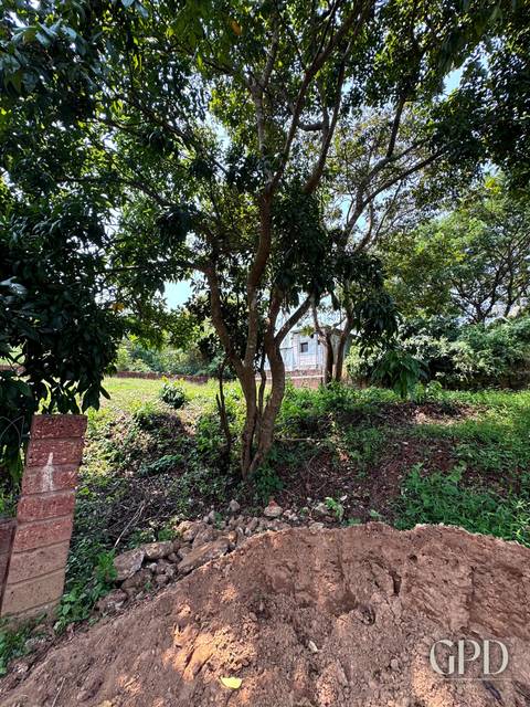 410.24 Sq Mtrs Plot in Neura, North Goa 