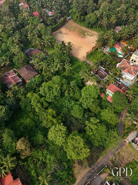 Benaulim Plot 1386 Sq Mtrs 2 KM From the Beach, South Goa 