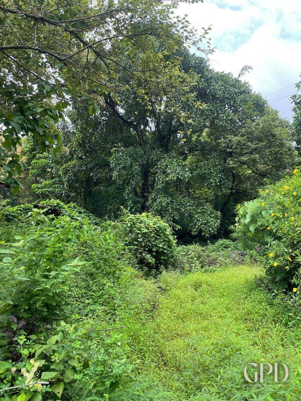 Curtorim Plot with a House 7200 Sqmtrs photo 7