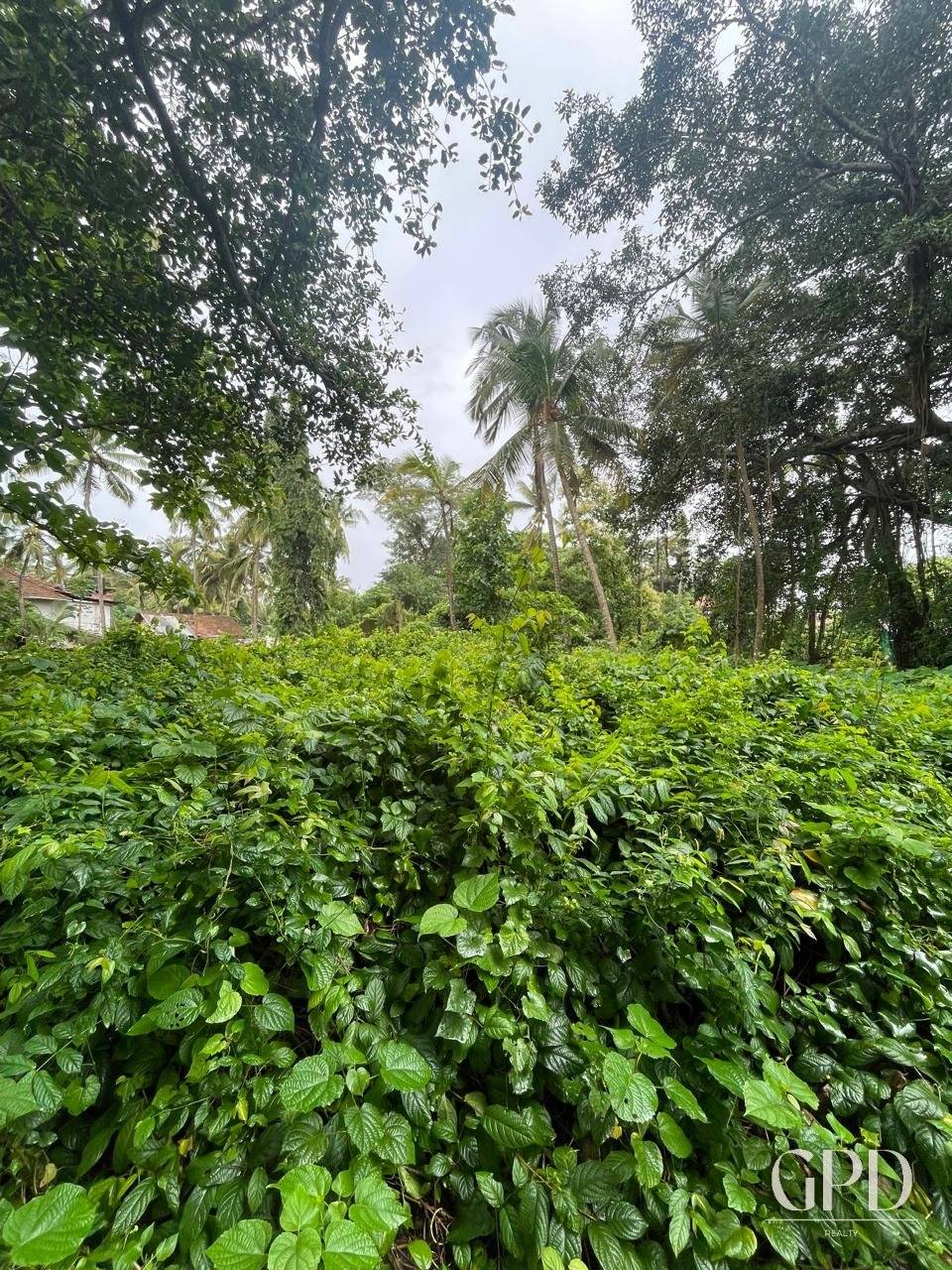 Benaulim Plot 435 Sqmtrs photo 1