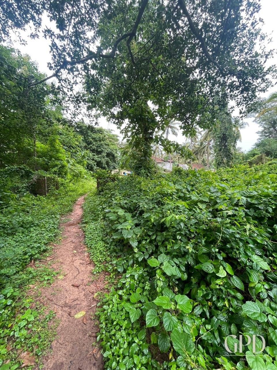 Benaulim Plot 435 Sqmtrs photo 2
