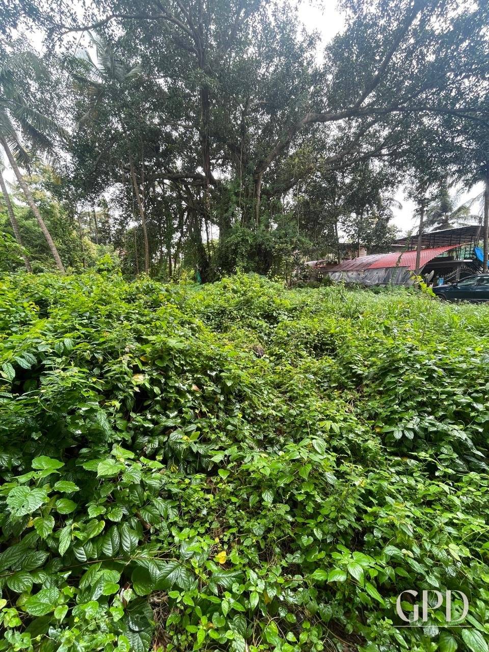 Benaulim Plot 435 Sqmtrs photo 3