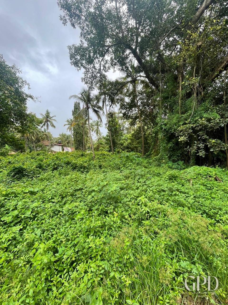 Benaulim Plot 435 Sqmtrs photo 4