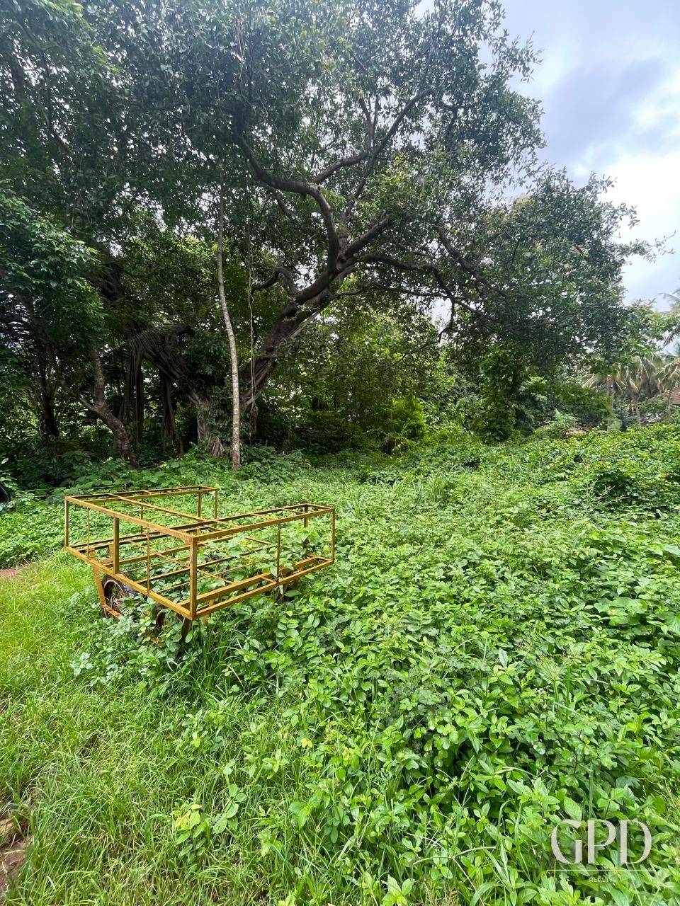 Benaulim Plot 435 Sqmtrs photo 6