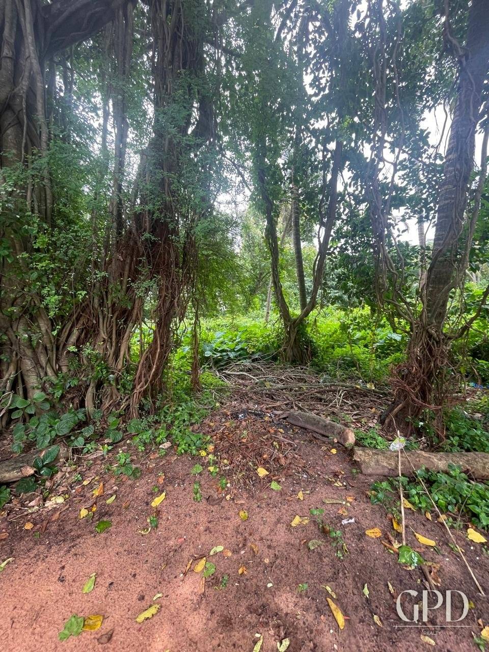 Benaulim Plot 435 Sqmtrs photo 8