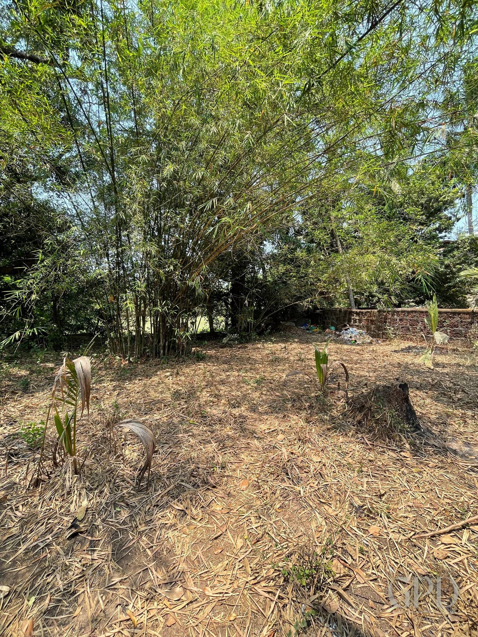 Parra Main Road Touch Plot 1765 photo 3