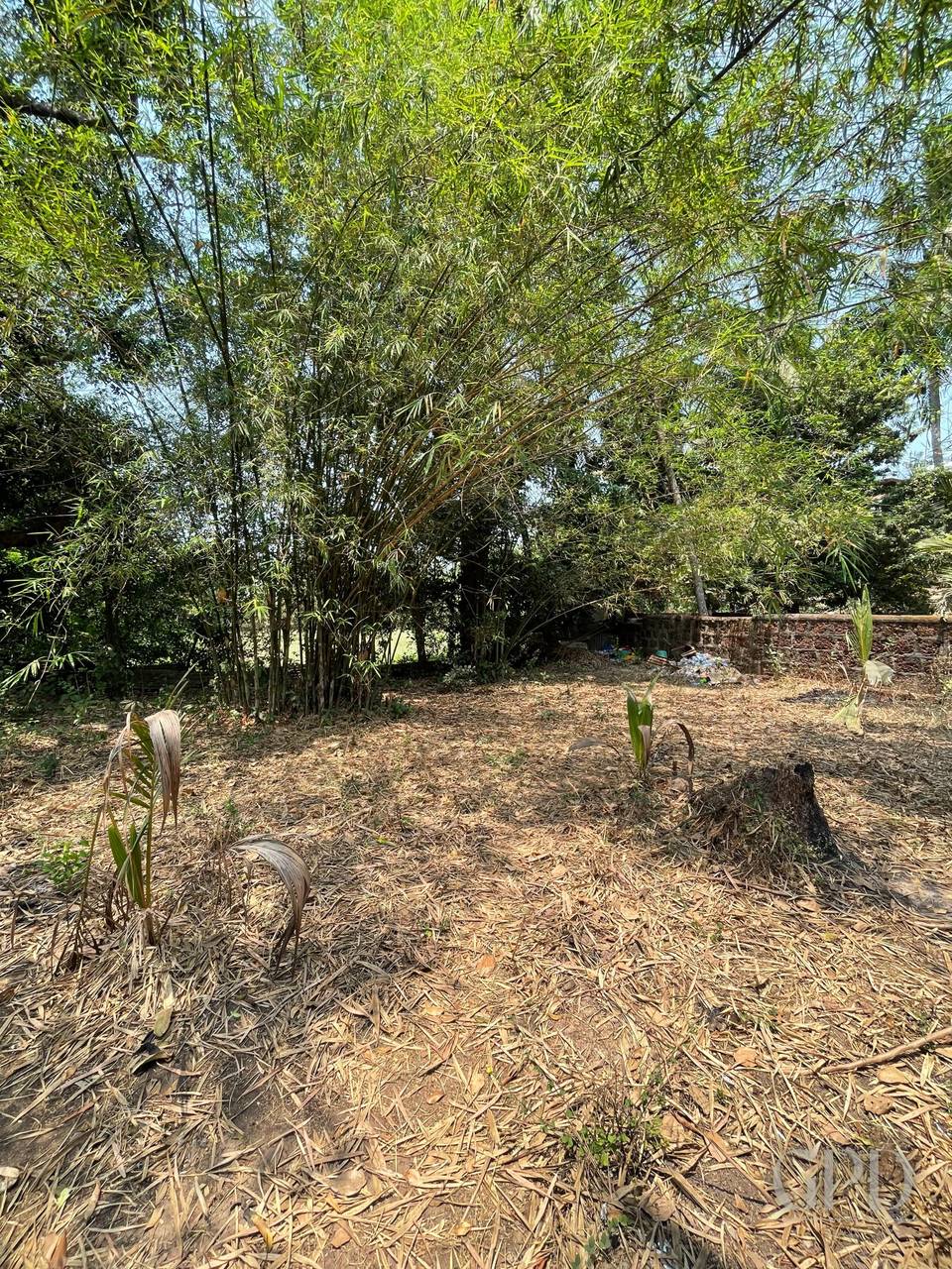 Parra Main Road Touch Plot 1765 photo 3