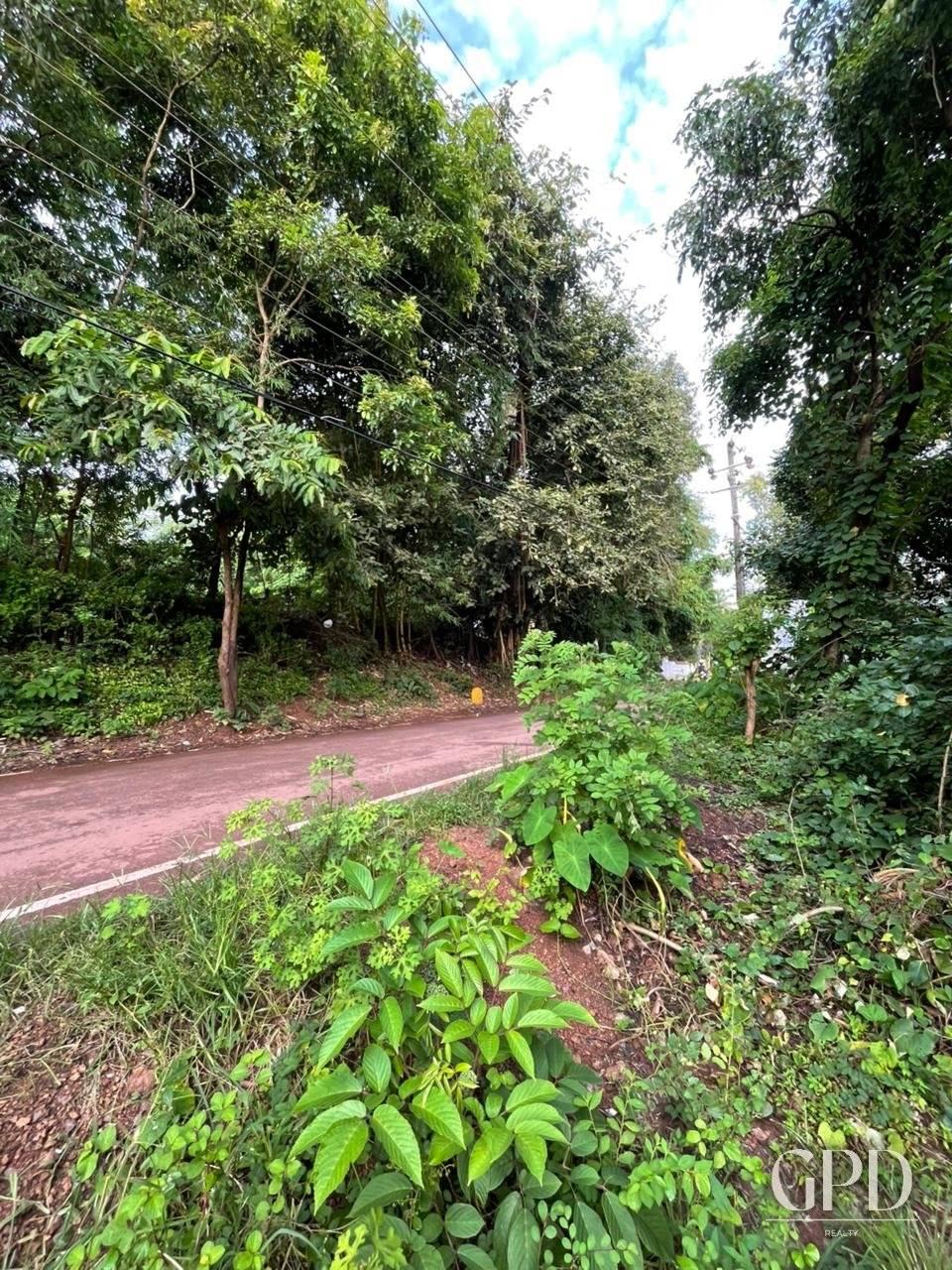 Anjuna Plot 1150 Sqmtrs photo 3