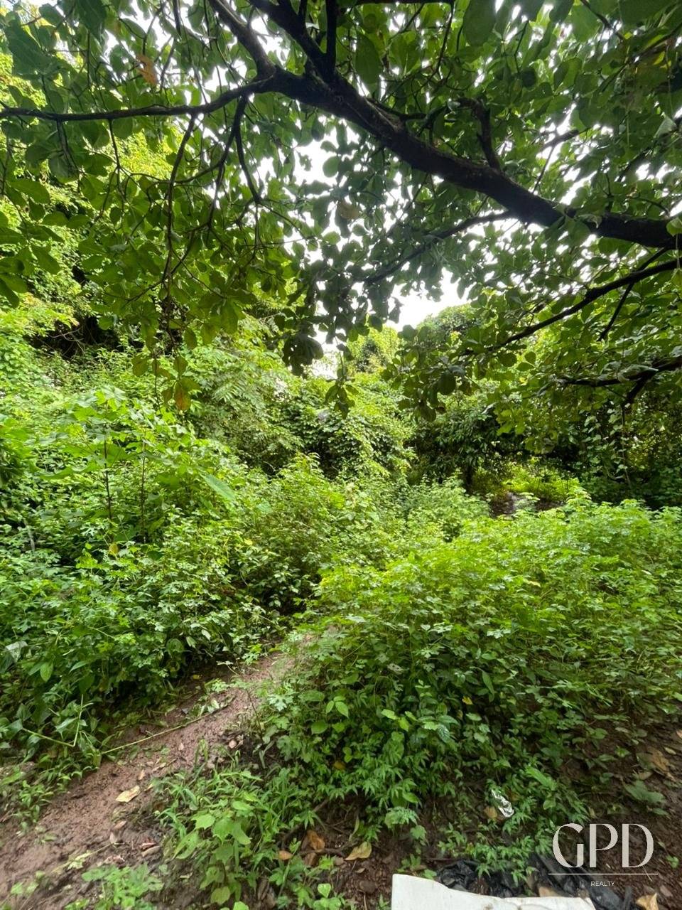 Anjuna Plot 1150 Sqmtrs photo 4