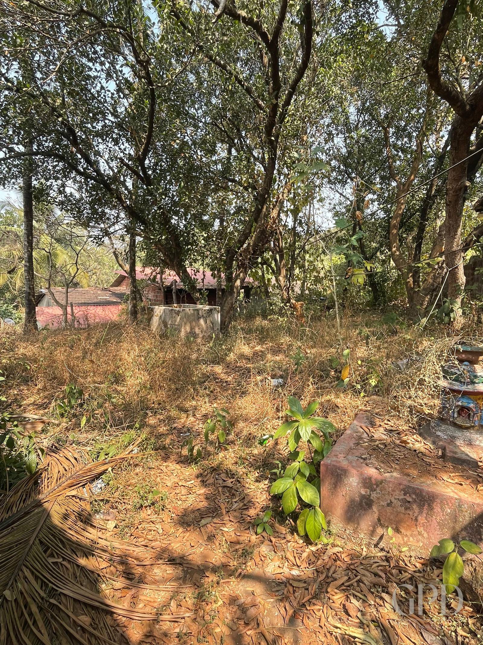 Colvale Plot 630 Sqmtrs photo 5