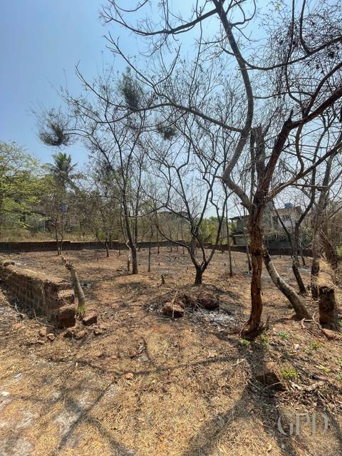 Nachinola Plot 625 Sqmtrs 