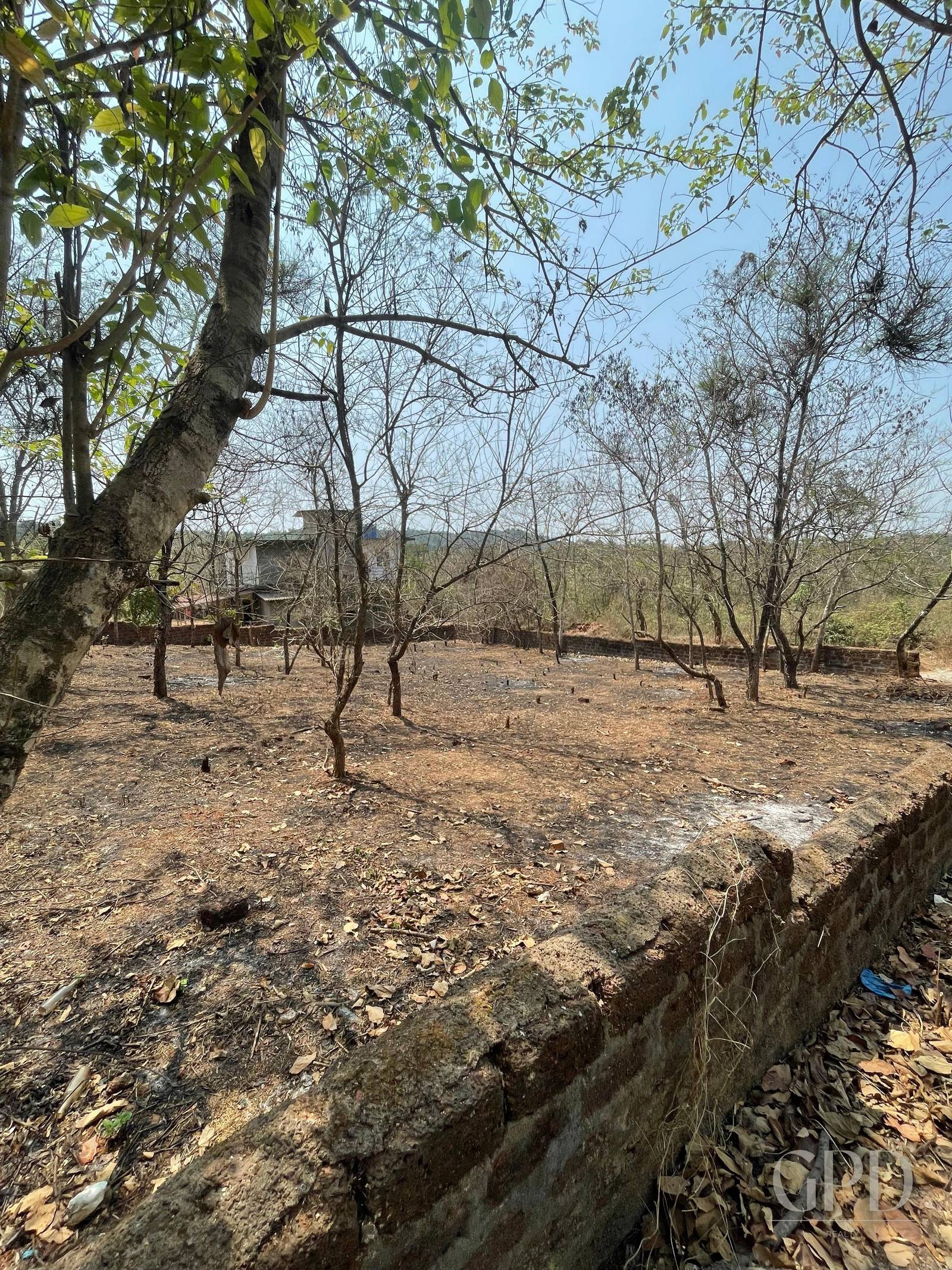 Nachinola Plot 625 Sqmtrs  photo 3
