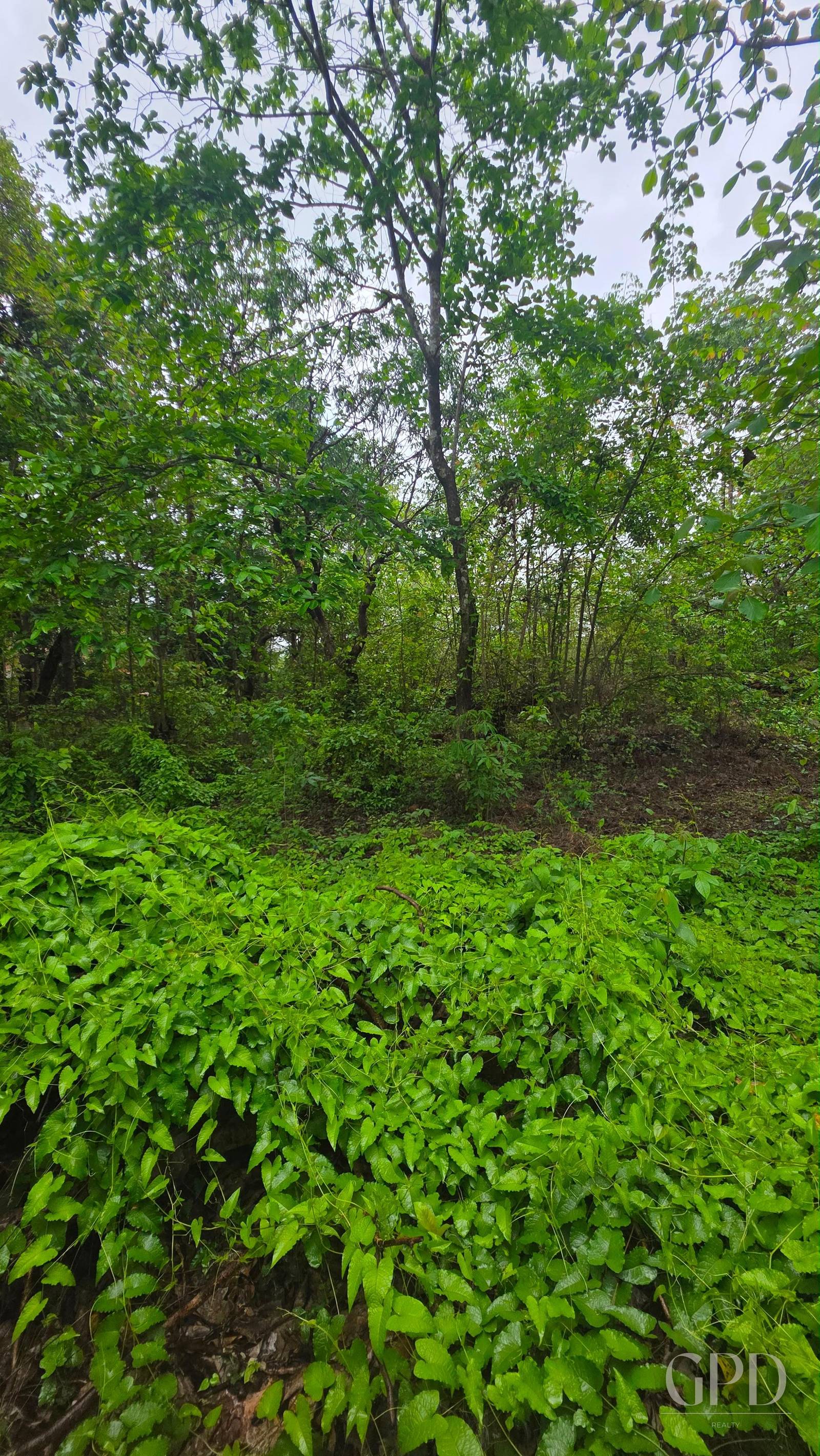 Thivim 2525 Sqmtrs Plot photo 2