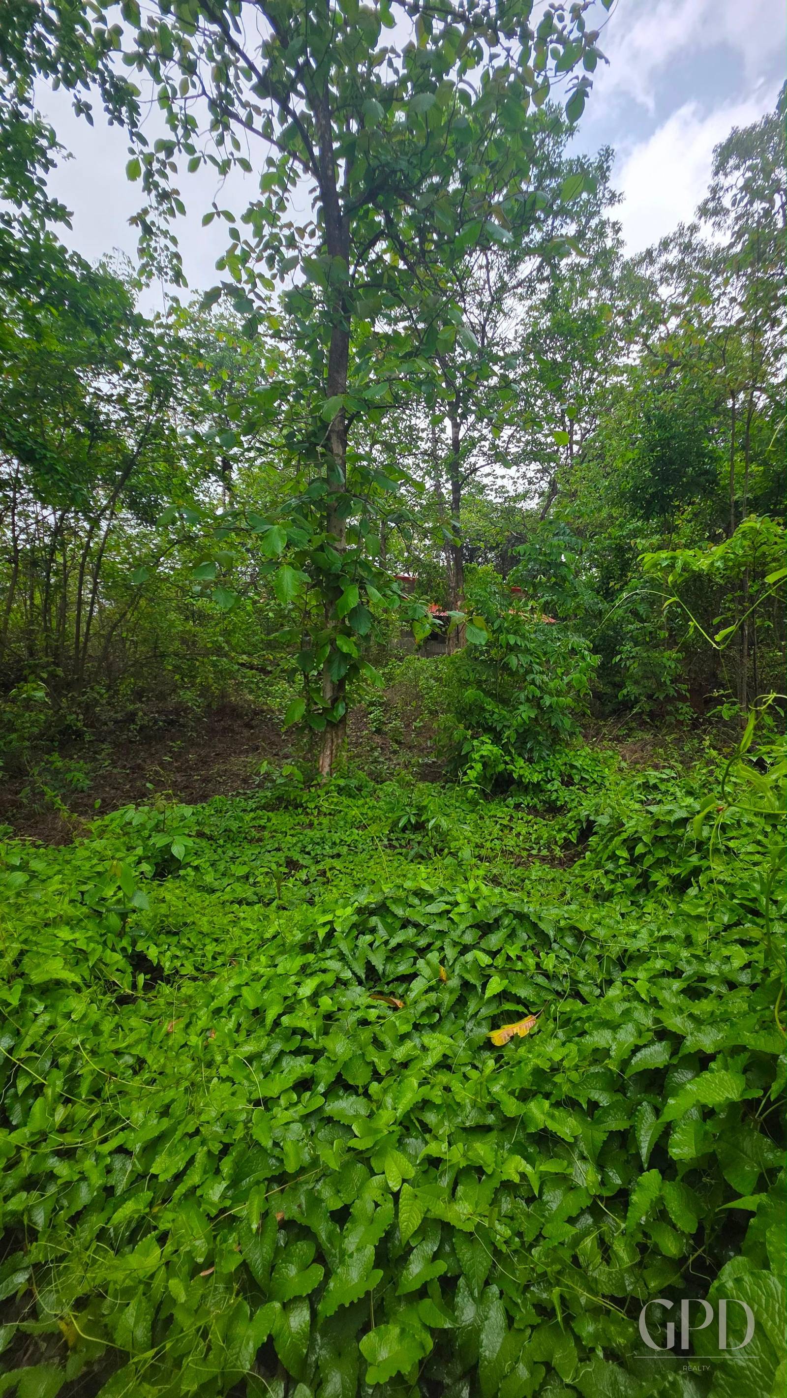 Thivim 2525 Sqmtrs Plot photo 3
