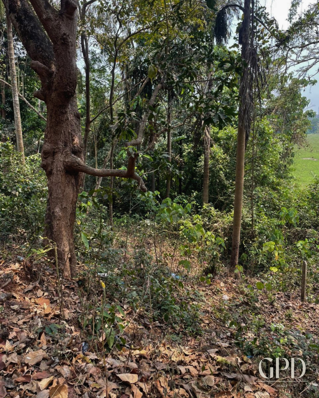 Thivim Field Tocuh Plot 525 SQMT  photo 4