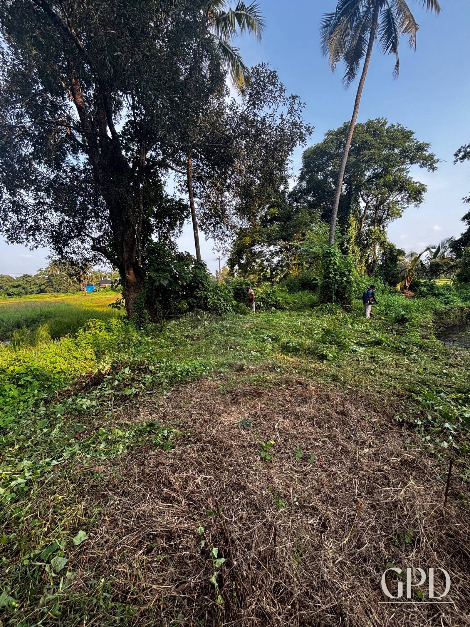 Parra Plot 1225 Sqmtrs photo 8