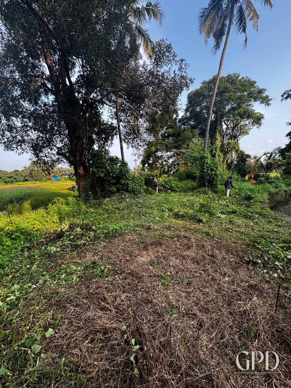 Parra Plot 1225 Sqmtrs photo 8