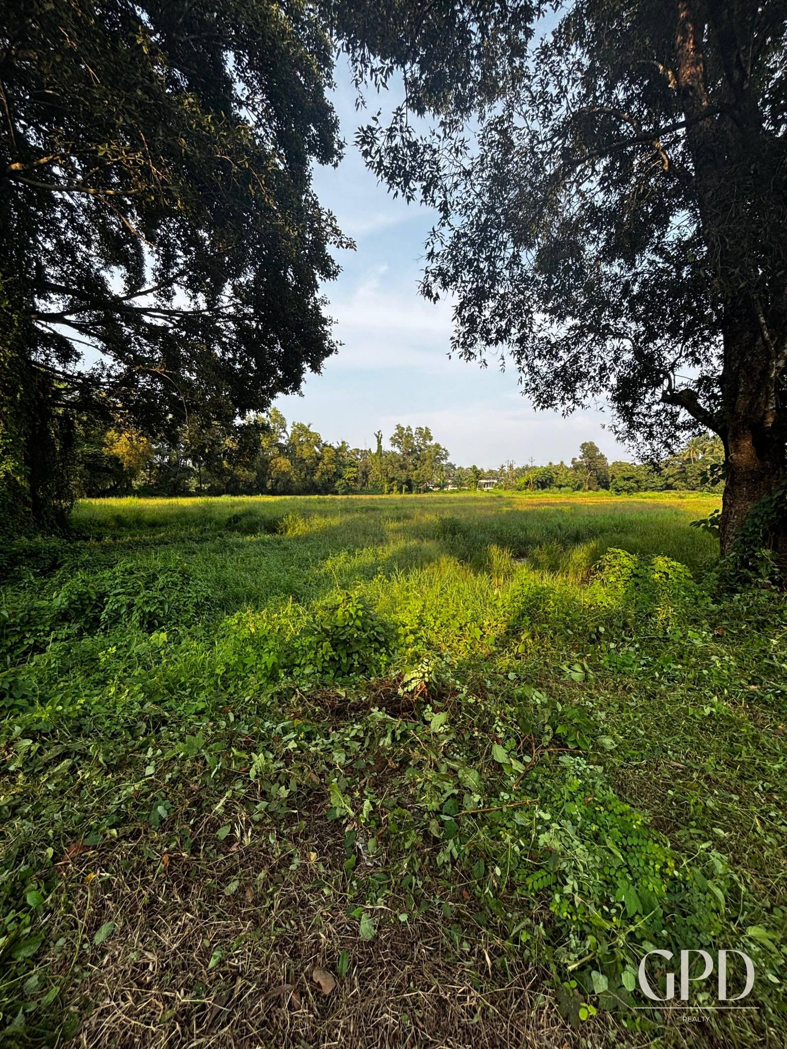 Parra Plot 1225 Sqmtrs photo 16