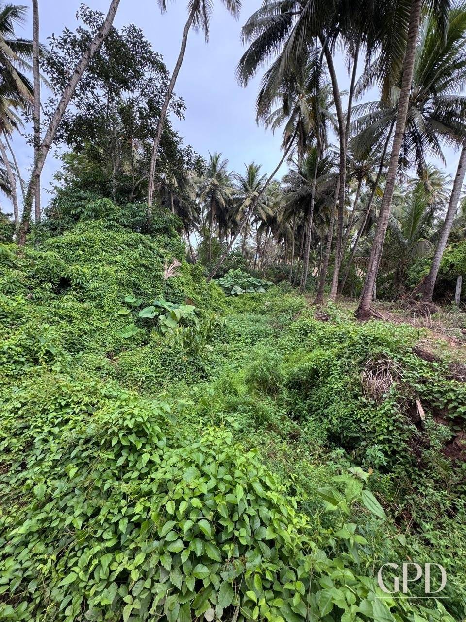 Aldona Plot 975 Sqmtrs photo 2