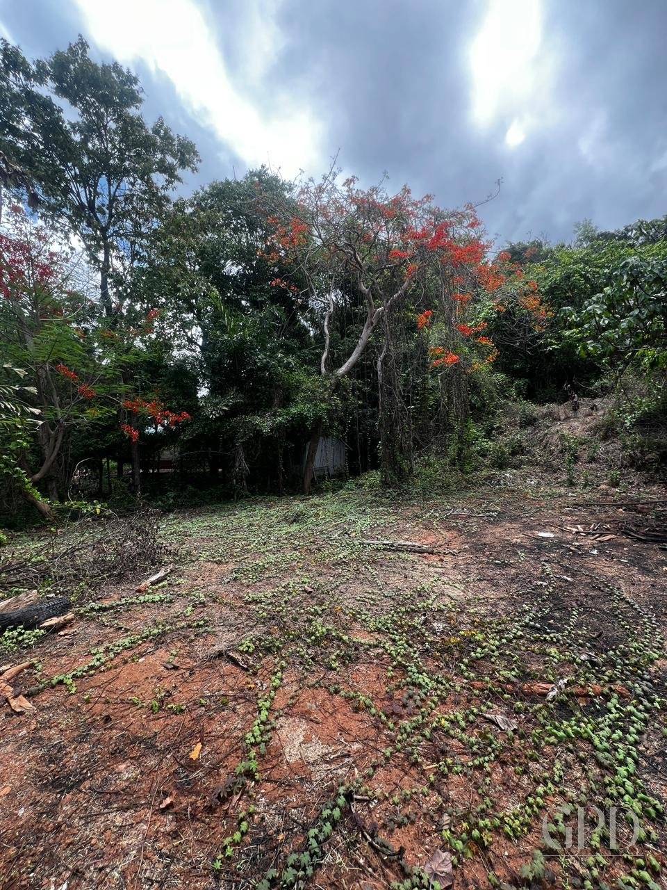 Salvador do Mundo Plot 525 SQMT photo 6