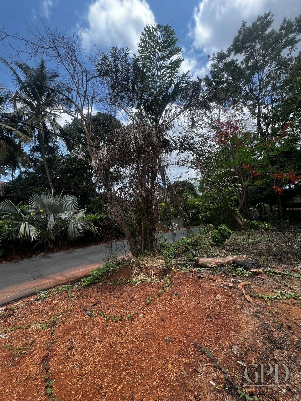 Salvador do Mundo Plot 525 SQMT photo 2
