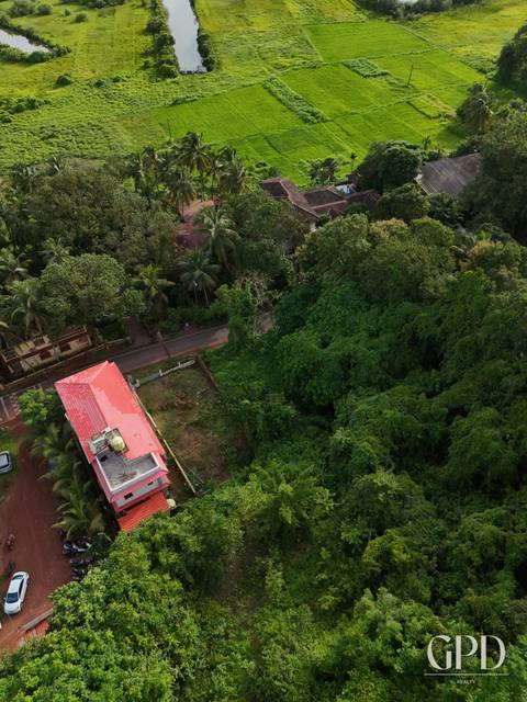 Salvador do Mundo Plot 525 SQMT