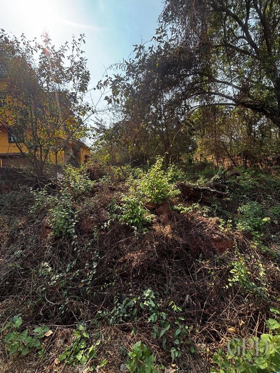 Colvale Plot 415 Sqmtrs photo 6