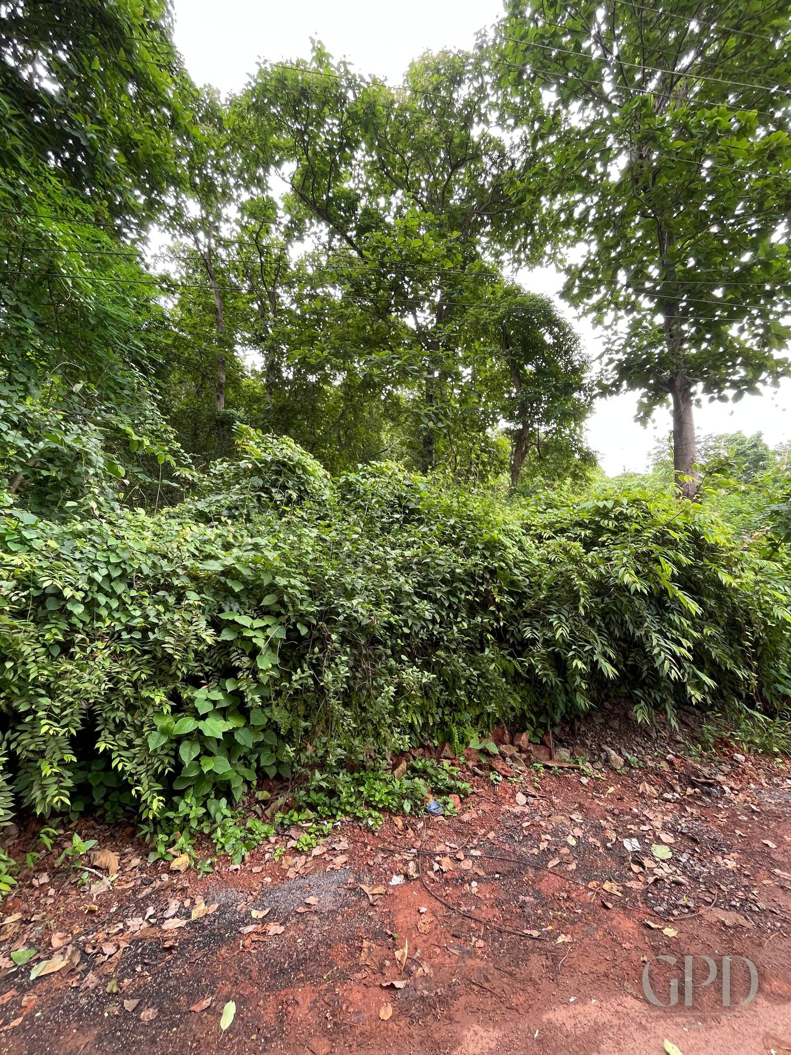 Britona River View Plot 5190 Sqmtrs photo 3
