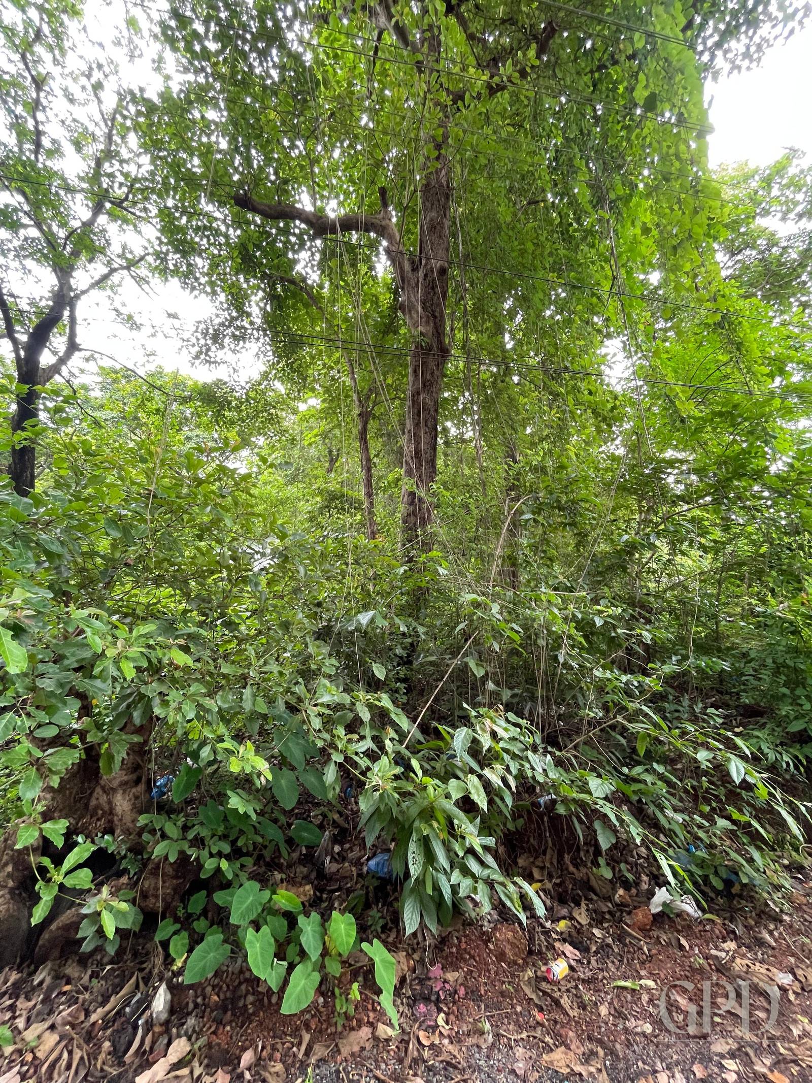Britona River View Plot 5190 Sqmtrs photo 5