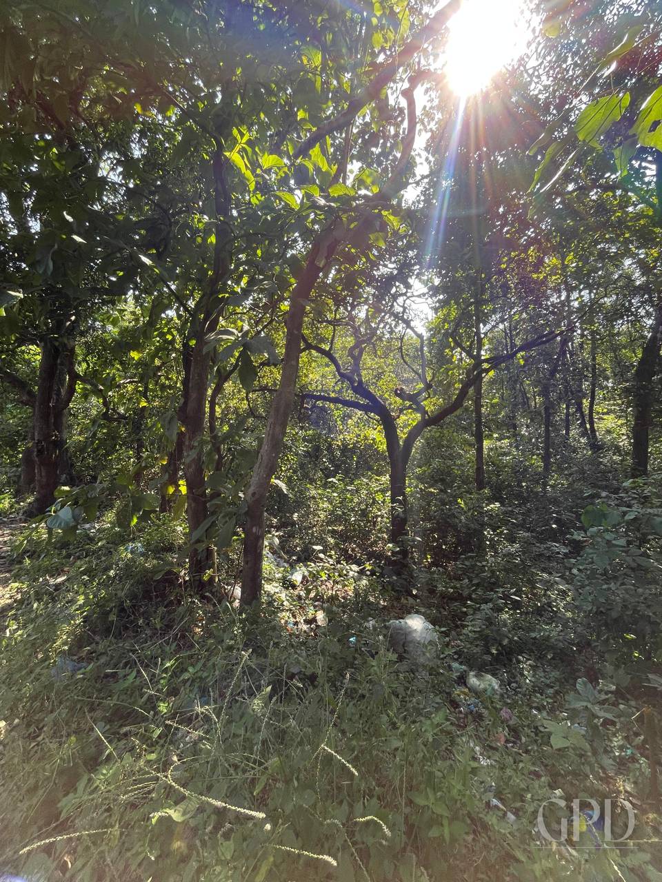 Colvale Plot 4002 Sqmtrs photo 2
