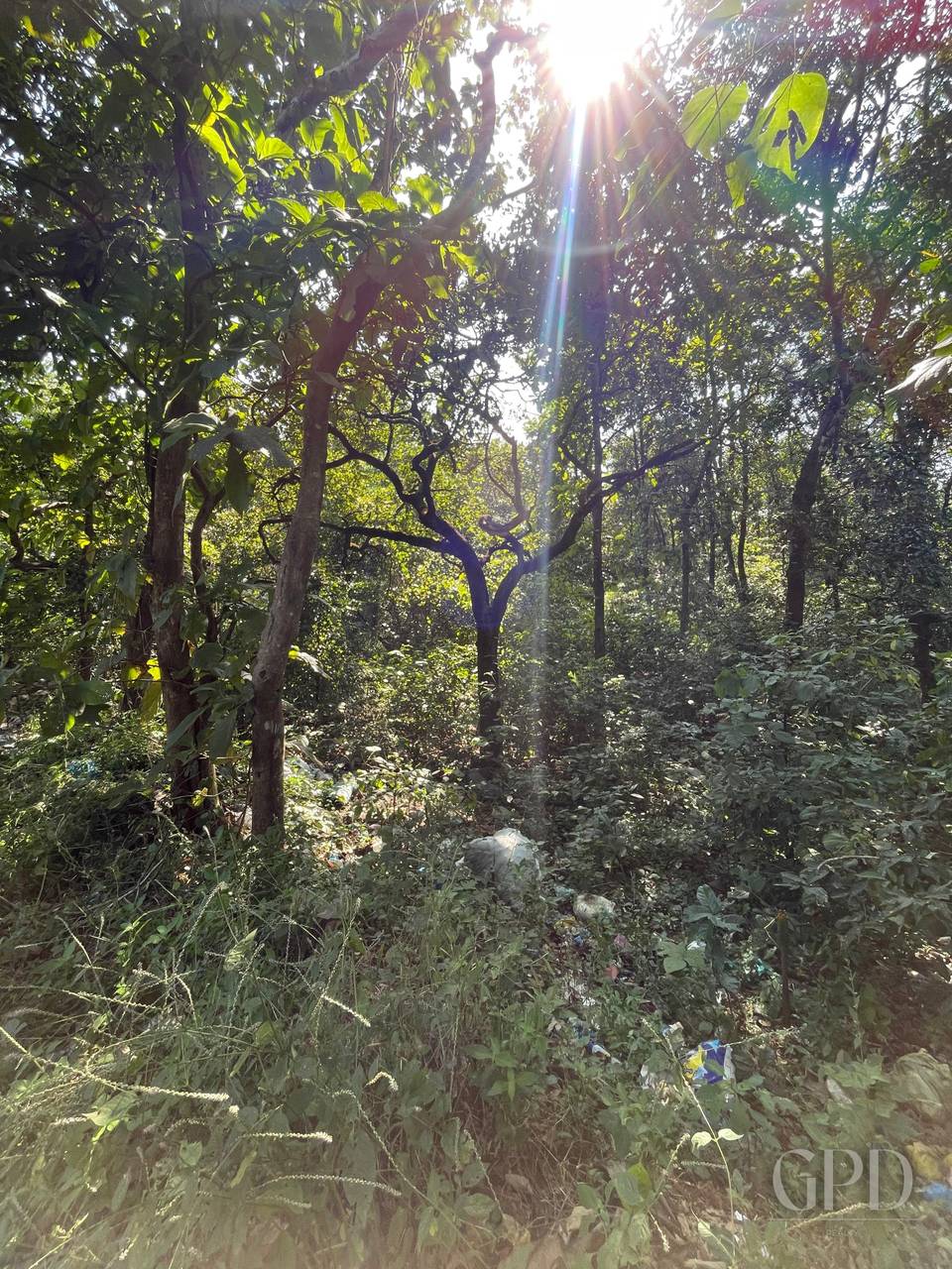 Colvale Plot 4002 Sqmtrs photo 3